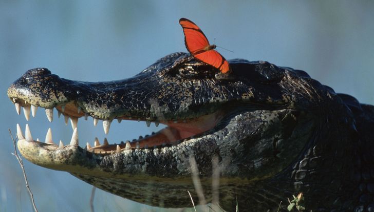 fdcaaa5f9a80dfc7616250121f