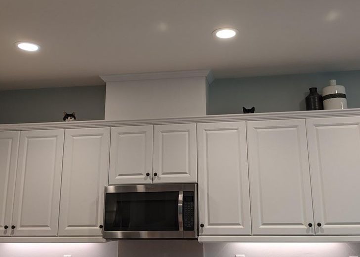 fdea145bf8a818264f60e8fd6a