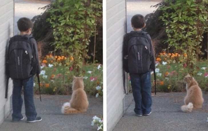 fdebdf535ebbcf2b84f631adcf