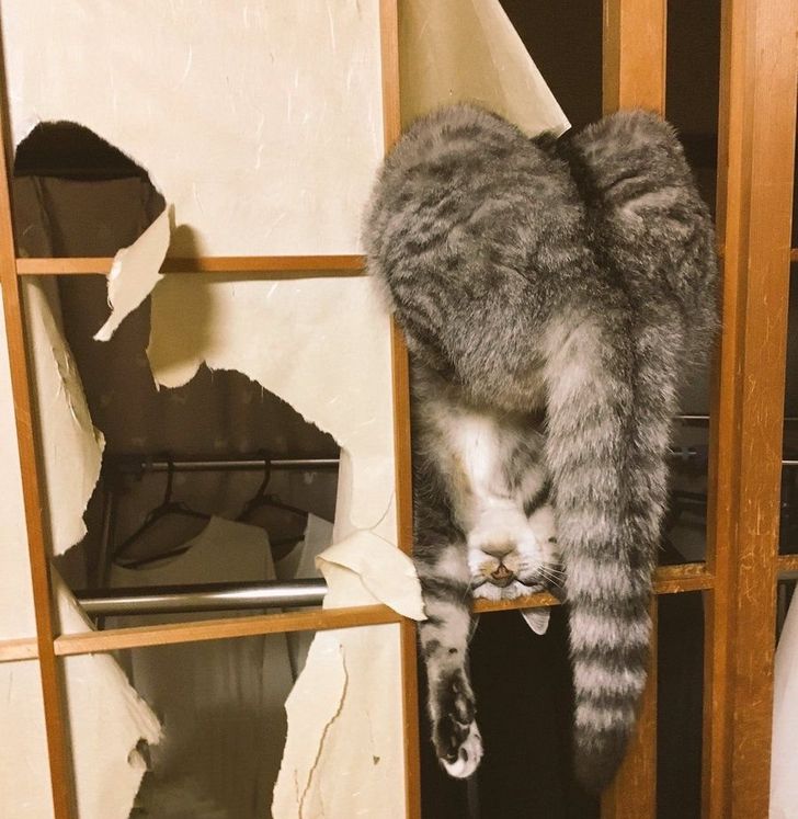 fded5554d7bc358115035c84a8