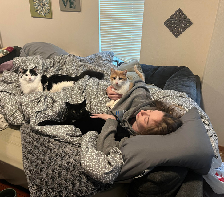 fdf0fc53c0a141eb71247dbb8d