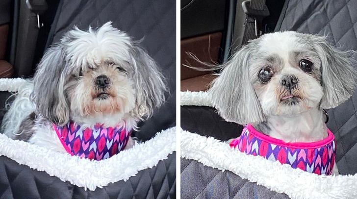 fdf7155937a2d944de135c12d7