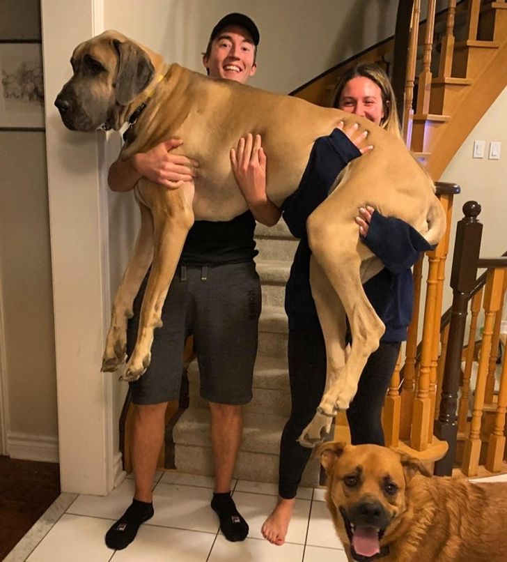 fdfbc4562f83ad852eab75932a