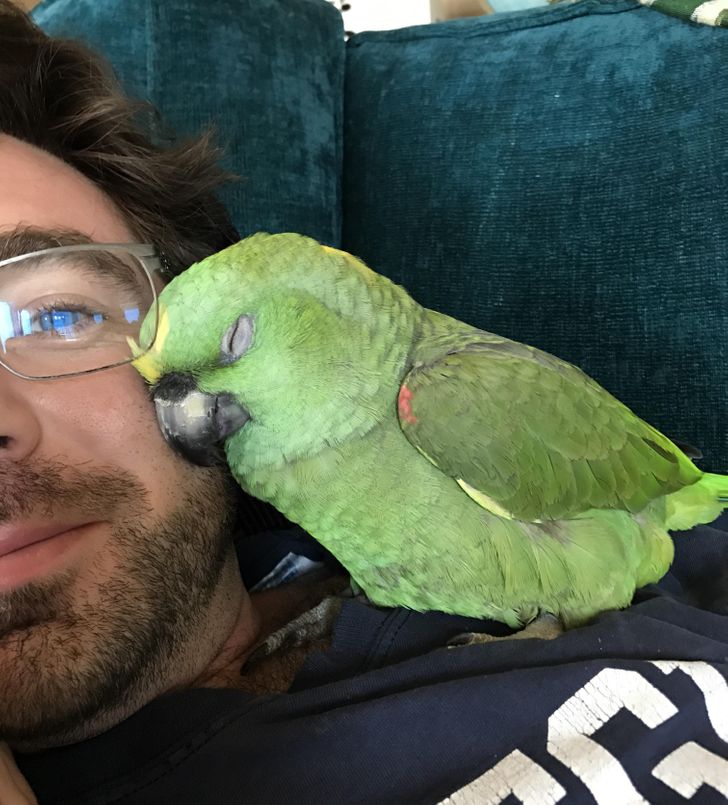 fdfc38574c925b789d5baae617