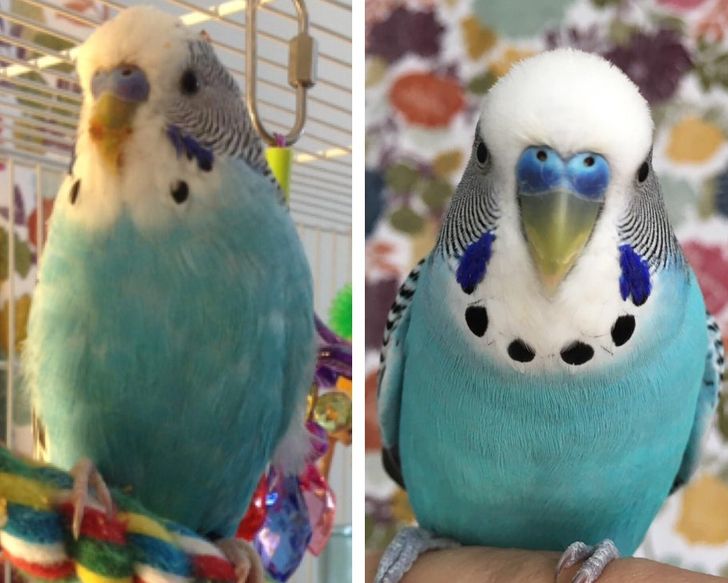 fdfd345158a5ce9d21a5ba91f5