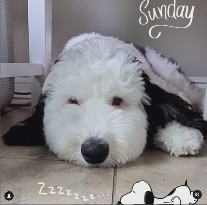 fdffb5551abf4ecce5d853fbe8 fdffb5551abf4ecce5d853fbe8