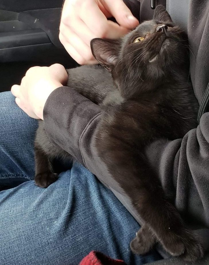 fdffb75fba84559b5923c423b1