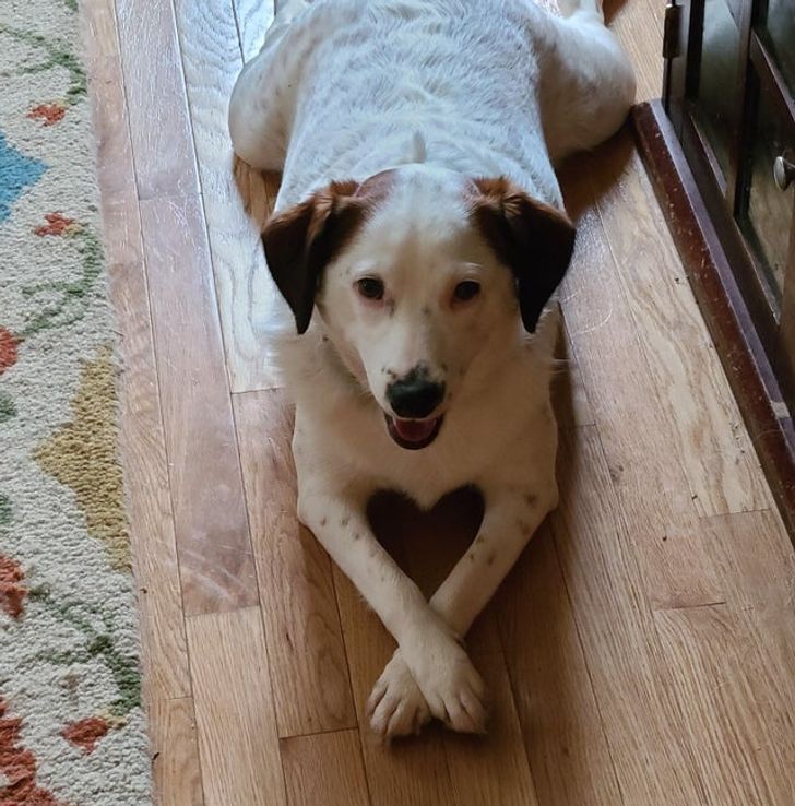 fe020a59f39387d4d66ee0e81c