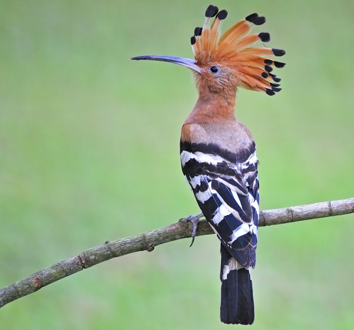 fe079b56c4b2df4aecb91f3eb8