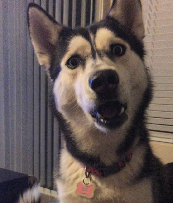 fe09895e28bb32e2918768d71e