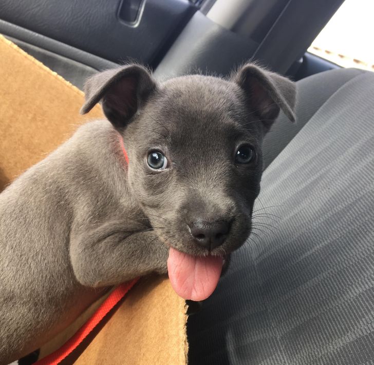 fe0cbf5ff0b2bda8fcf013c945