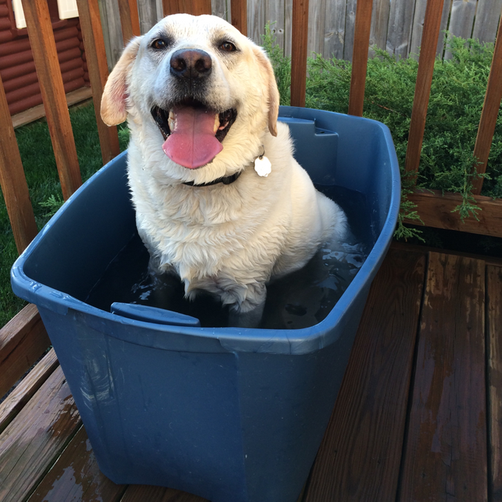 fe0fb25dd0b8434c8574f8e146