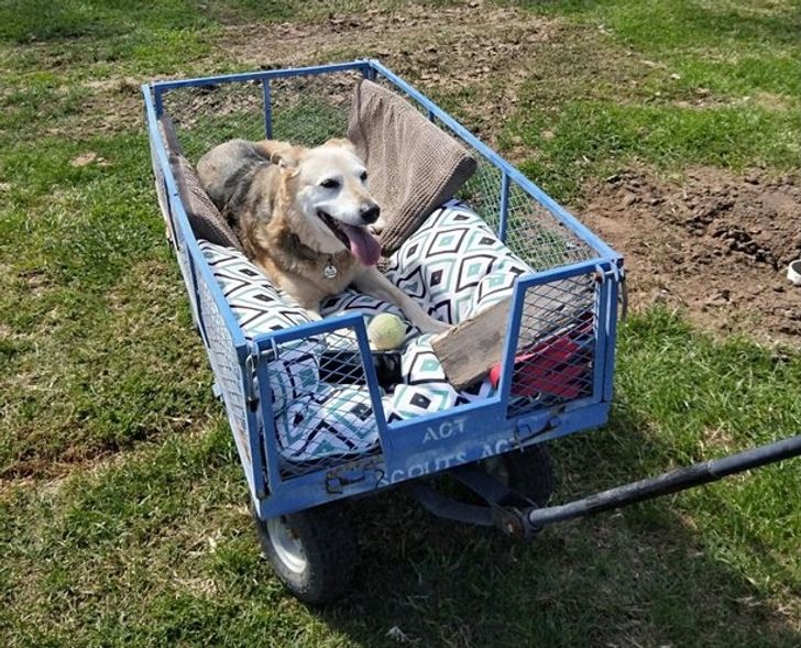 fe112f59a393d5f7b5669acf43