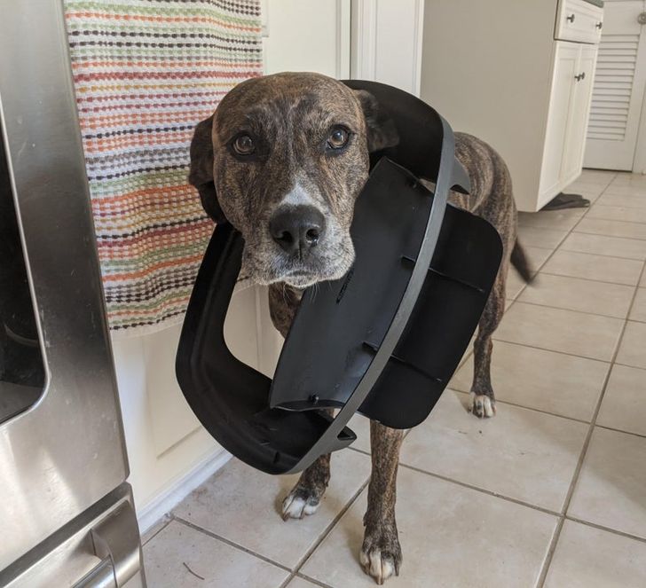 fe158d5da3990e03bf96891657