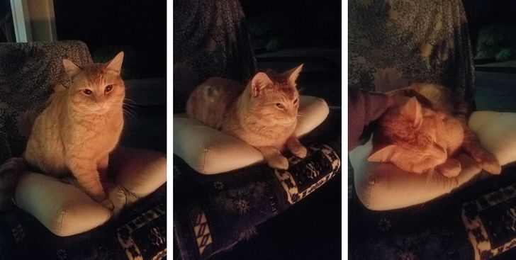 fe15b65e5aa3a5b8fe141a2a90 fe15b65e5aa3a5b8fe141a2a90