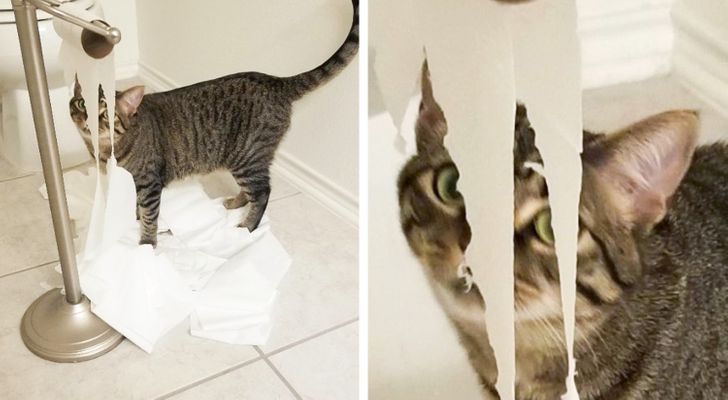 fe1e88595f88dbaa6aa1591a06