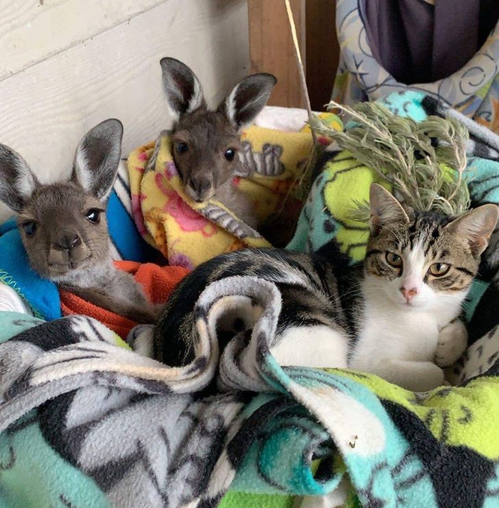 fe24055a76b866544eaac16c16