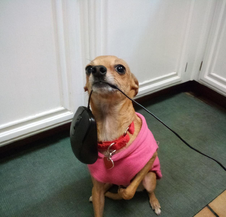 fe25e55ebcaef4bfb570cb63fc