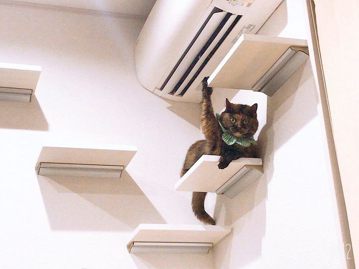 fe360f53b4904fdb10b85f1372