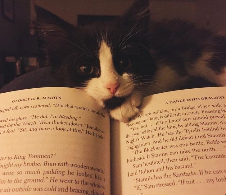 fe3b0f5f978ab4a71e72ec2034