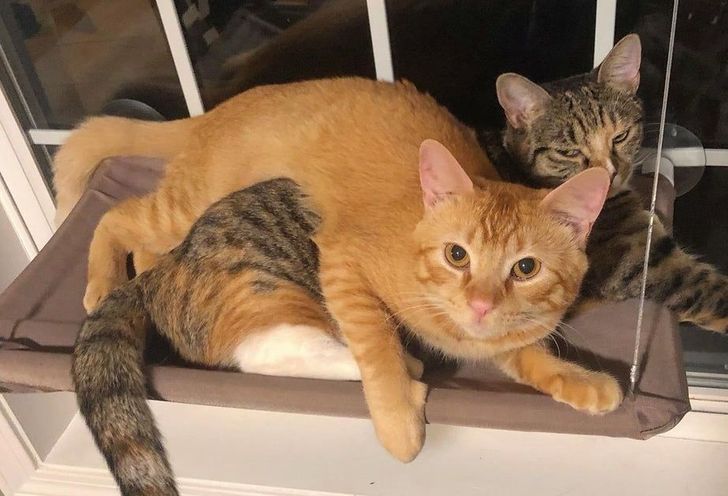 fe3f355af7b865c2009df64fc1