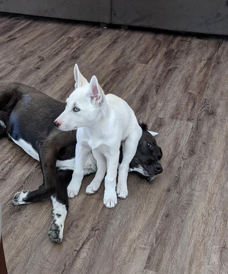 fe449658b7a9fd00039b94ea85