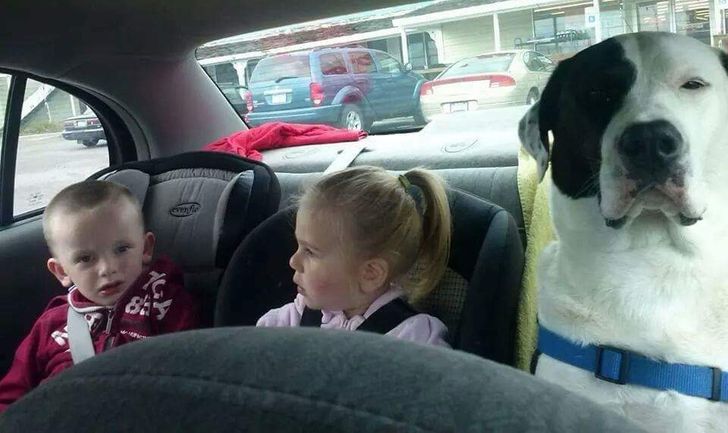 fe560558ec886357860faf57d9