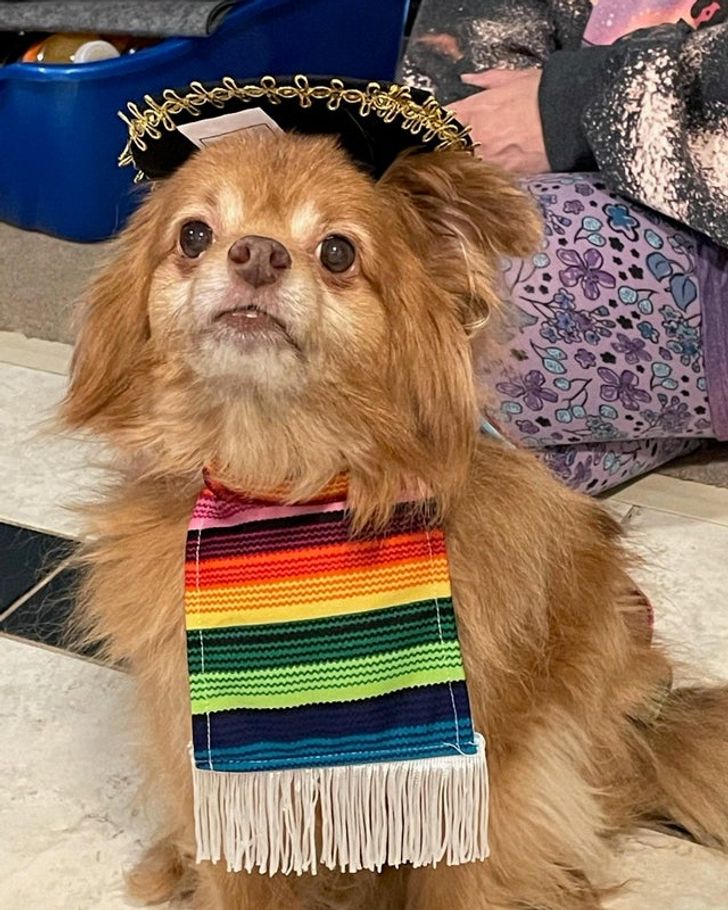 fe59105b76ad8e32b34bf3de67