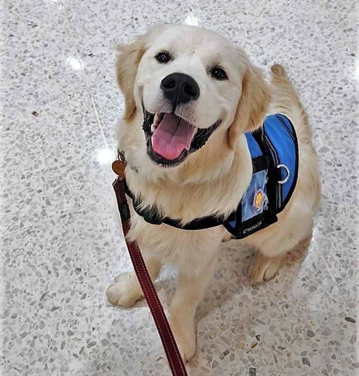 fe5d7a5d3282e75be6c5da07fb