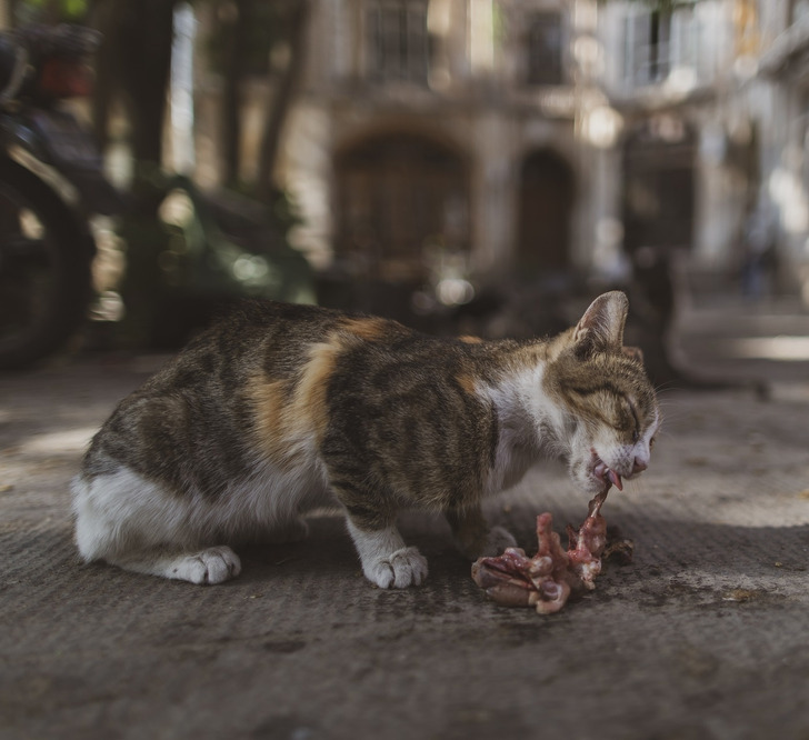 fe5f23522bac6671aeeccdb01b