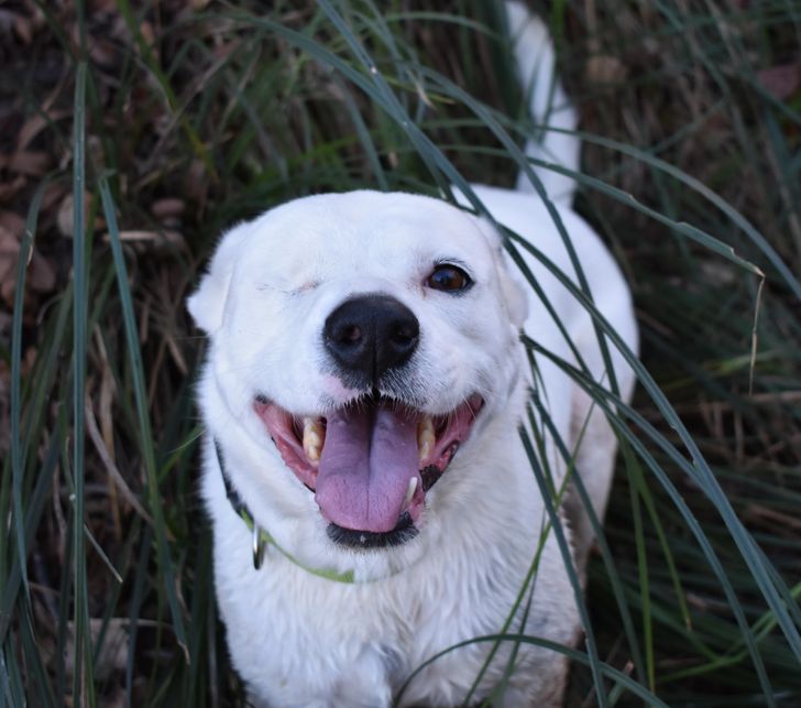 fe64565f8c87e7bae0fd7ceb00