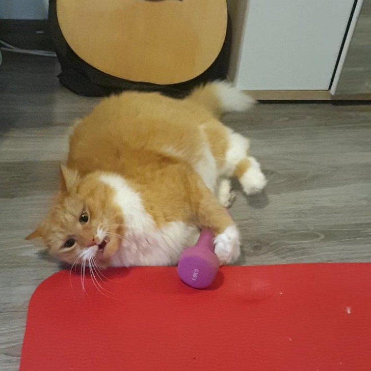 fe69d95ed6a5522cd5eb8af1ae fe69d95ed6a5522cd5eb8af1ae