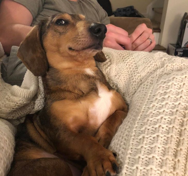 fe6c0959449c04bd4b7fe7cf87