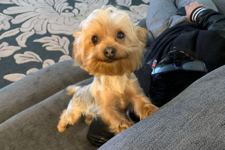 fe6caa50e69b990551dcfb1c69