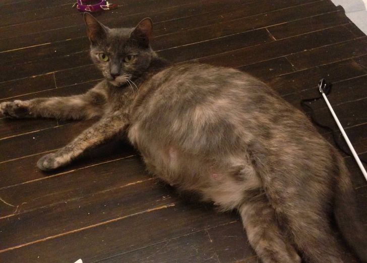 fe6f8a59d785507cdfc88e6b61