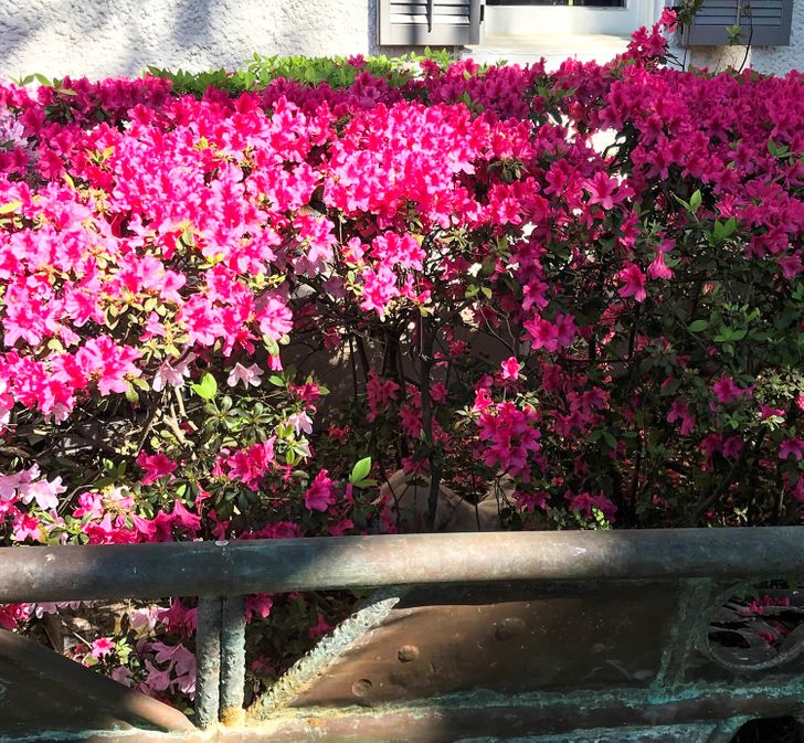 fe77385bbd9f3331f81a790e7f