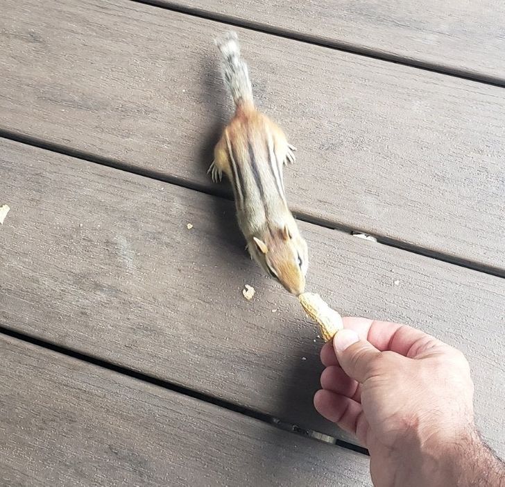 fe7cc05aec9c44cc84076e2ad6