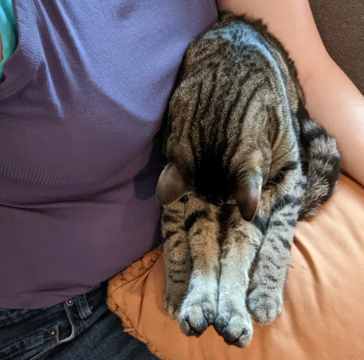 fe7cf7579c9c82dc8ee65e2f2f