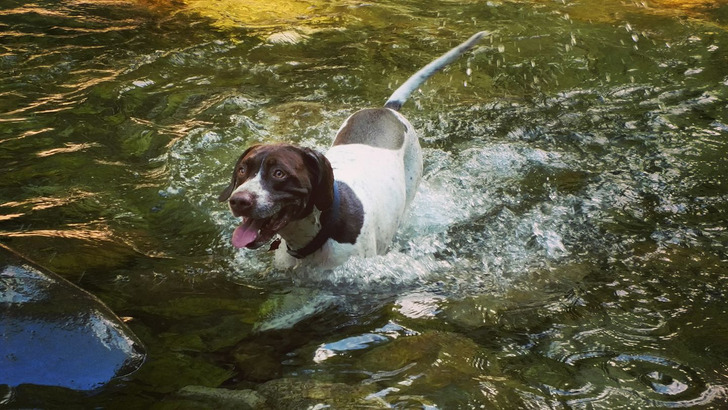 fe83775b83b89bbe26ca9f0970