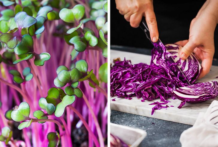 fe947b581e91f5c64a6da5ba8e