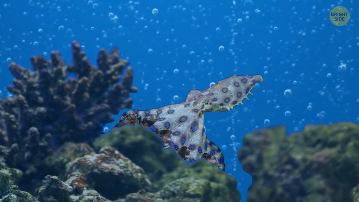 fea3255f8abe53de6ff4e2dbe3 fea3255f8abe53de6ff4e2dbe3