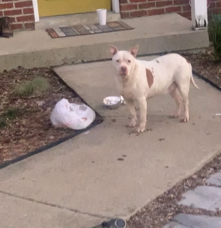 fea5e05b6e90f7deca984efca2