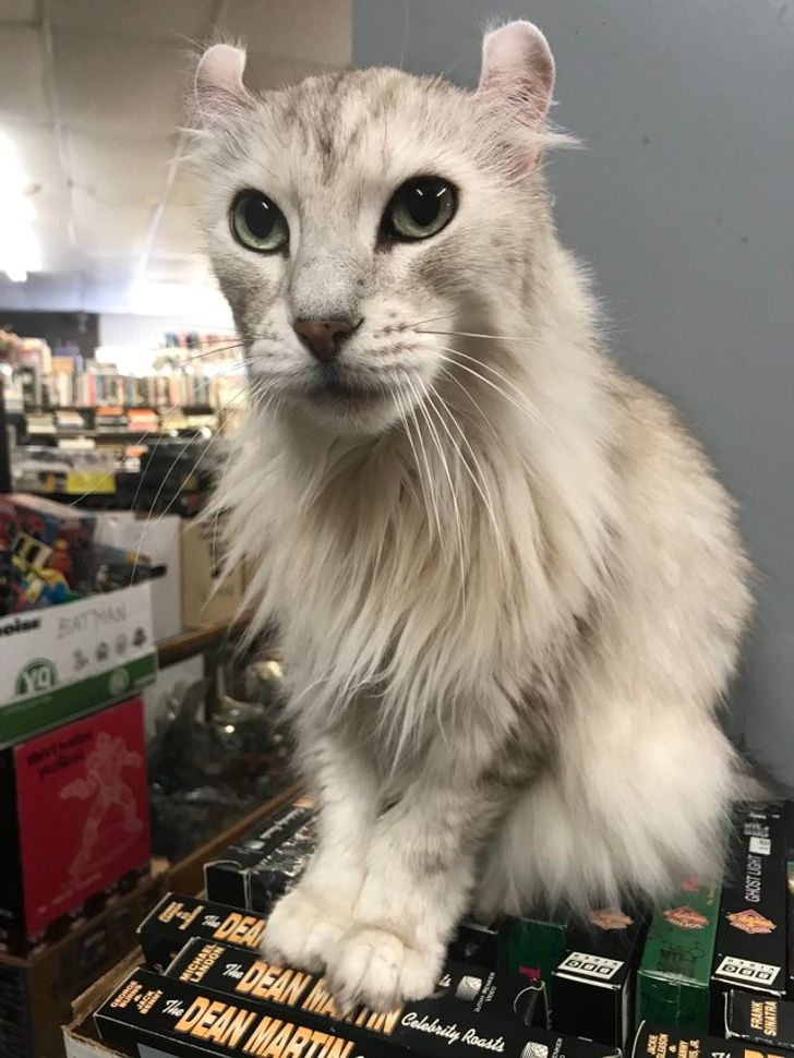 feaaff5ab2b9ee32e607304625