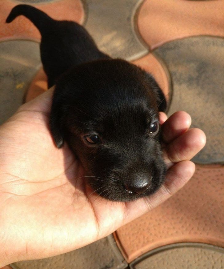 feb0b25b6e8dd5de327b8dda04