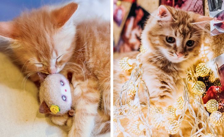 feb1ae5948a5e2005e288f37a3