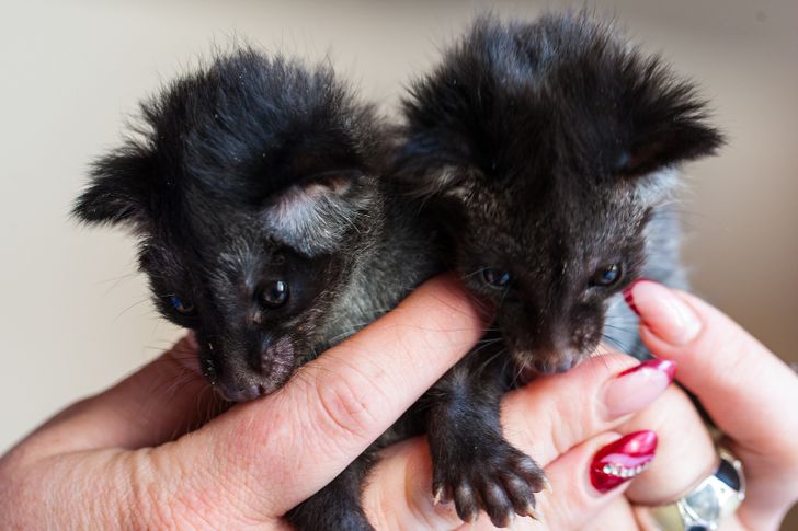 febda75df8bc0455a9c7fc0711