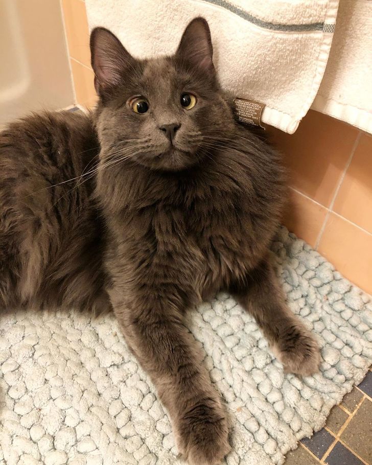 febe595e58b34f9955c6beb9de