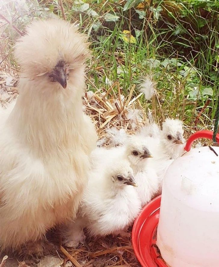 febf845046b996144d19b42fd1