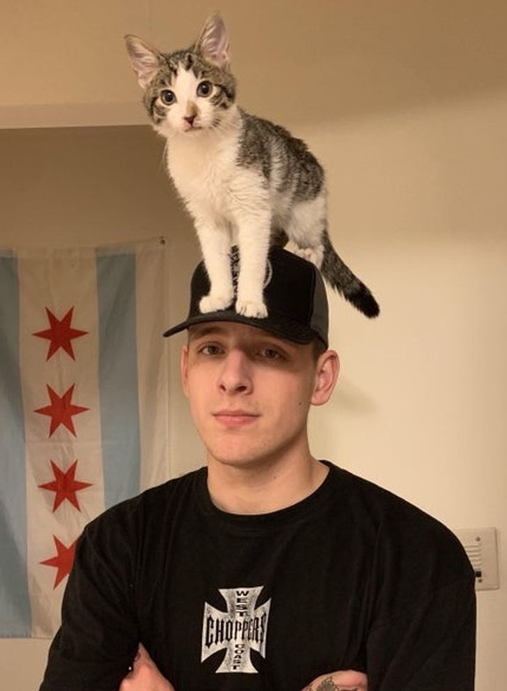 fec0fb56f498c38259f5b0340a