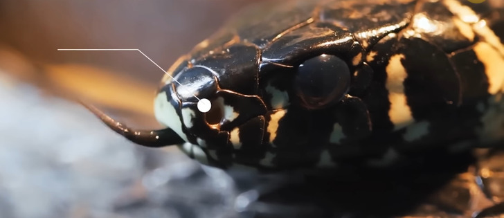 fec9915508b66e306690477f49